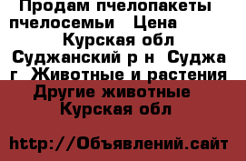 Продам пчелопакеты/ пчелосемьи › Цена ­ 3 000 - Курская обл., Суджанский р-н, Суджа г. Животные и растения » Другие животные   . Курская обл.